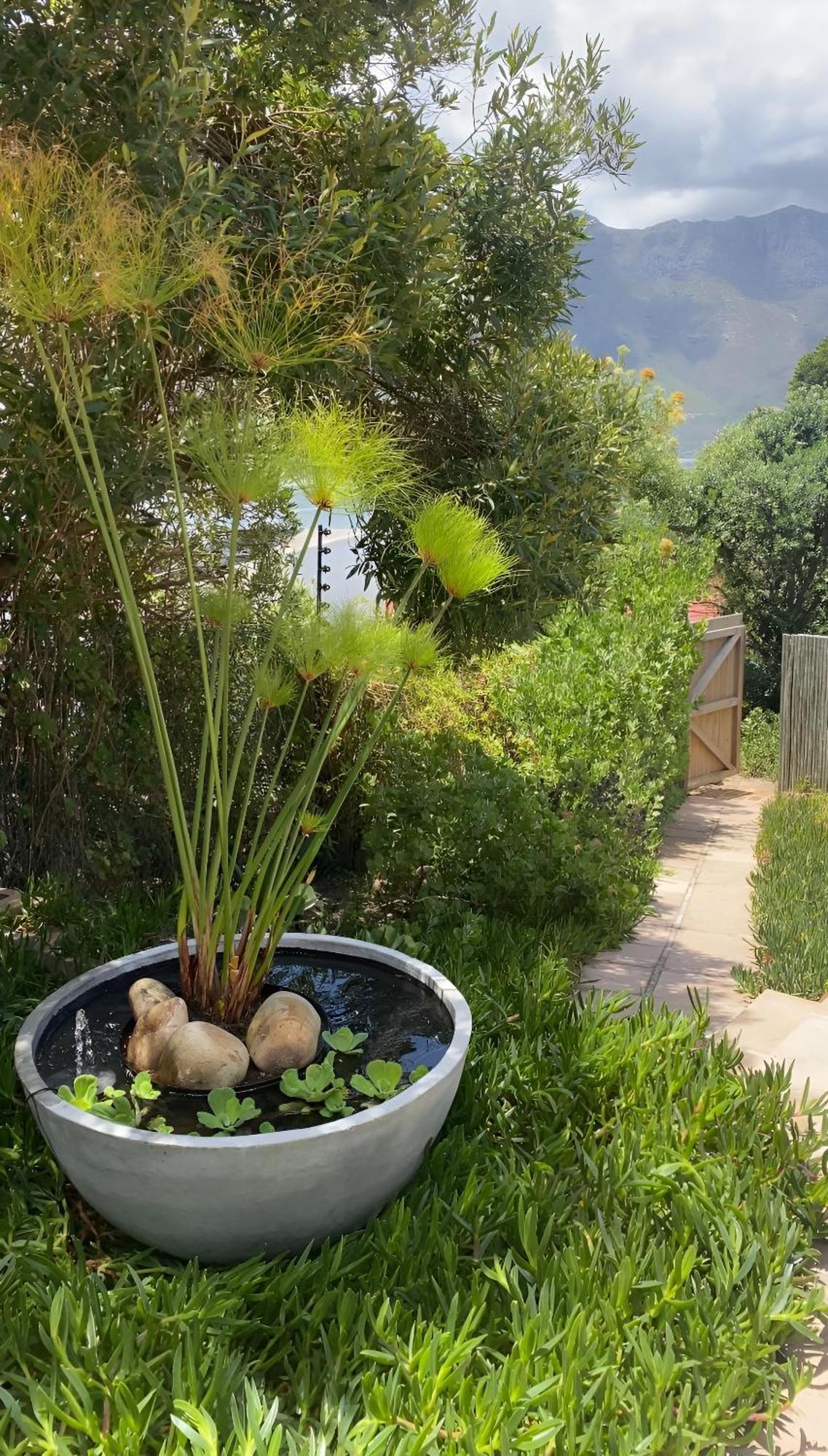 Beautiful View Garden Apartment Cape Town Exterior photo